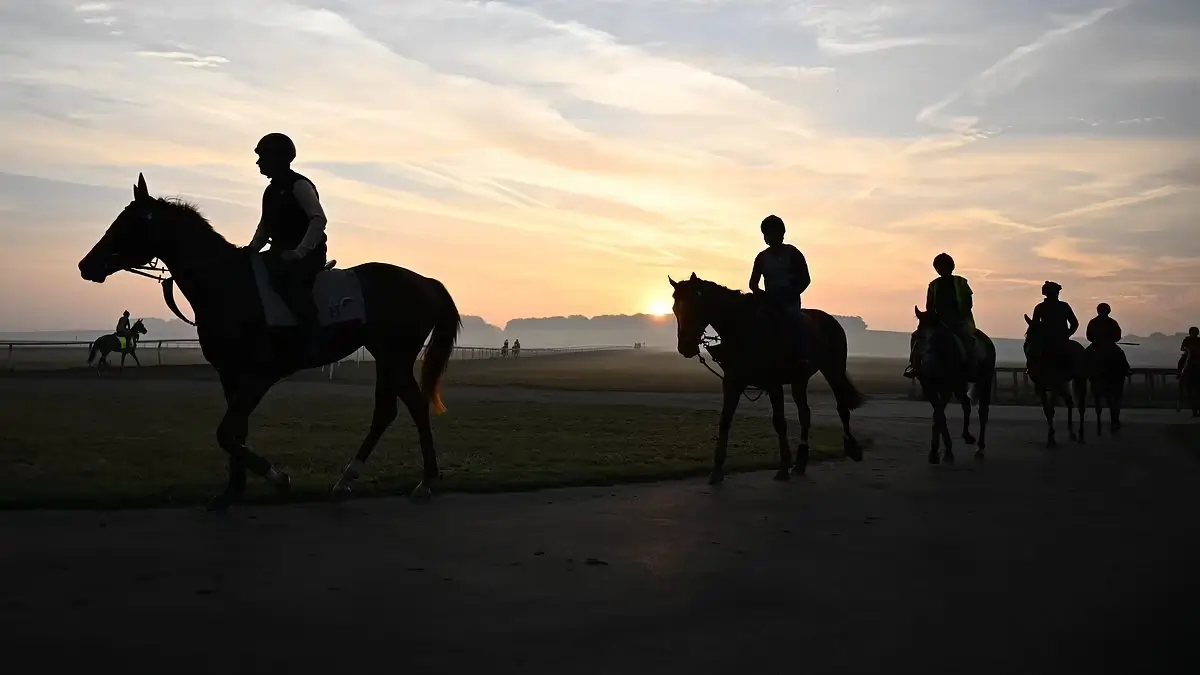 The Art and Science of Stable Intelligence